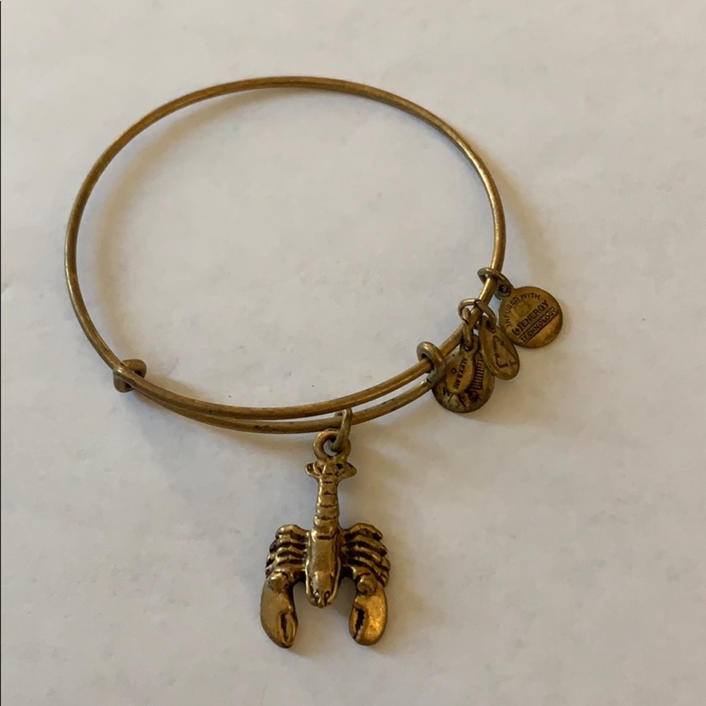 Alex and Ani bracelet